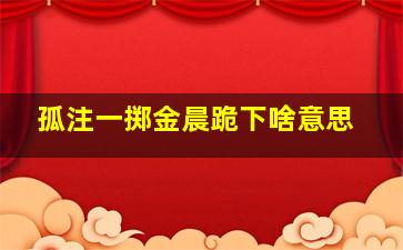 孤注一掷金晨跪下啥意思