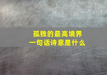 孤独的最高境界一句话诗意是什么