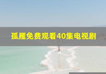 孤雁免费观看40集电视剧