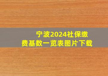 宁波2024社保缴费基数一览表图片下载