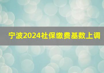 宁波2024社保缴费基数上调