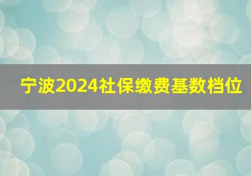 宁波2024社保缴费基数档位