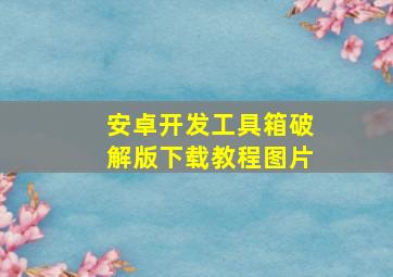 安卓开发工具箱破解版下载教程图片