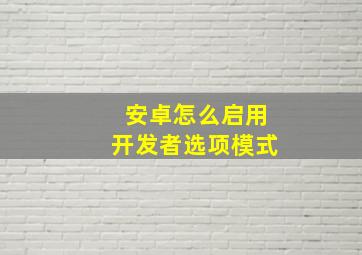 安卓怎么启用开发者选项模式