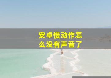 安卓慢动作怎么没有声音了