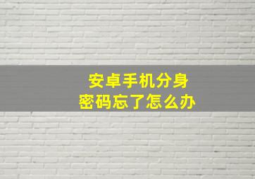 安卓手机分身密码忘了怎么办