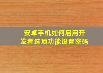 安卓手机如何启用开发者选项功能设置密码