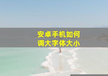 安卓手机如何调大字体大小