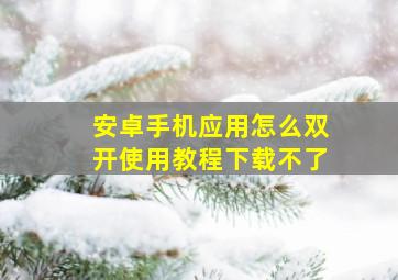 安卓手机应用怎么双开使用教程下载不了