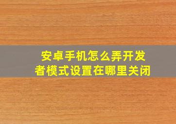 安卓手机怎么弄开发者模式设置在哪里关闭