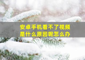 安卓手机看不了视频是什么原因呢怎么办