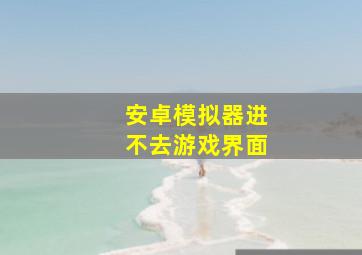 安卓模拟器进不去游戏界面