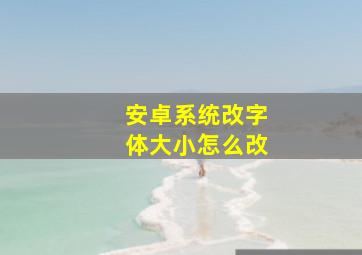 安卓系统改字体大小怎么改