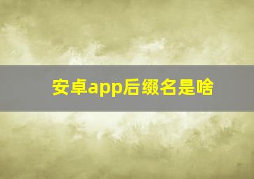 安卓app后缀名是啥