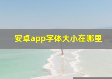 安卓app字体大小在哪里