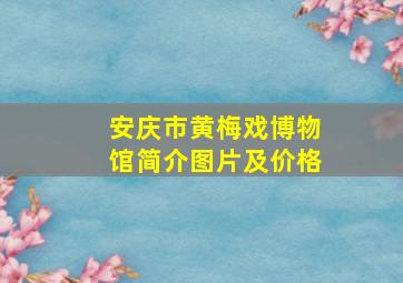 安庆市黄梅戏博物馆简介图片及价格