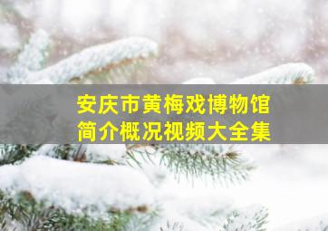 安庆市黄梅戏博物馆简介概况视频大全集