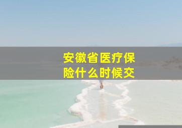 安徽省医疗保险什么时候交