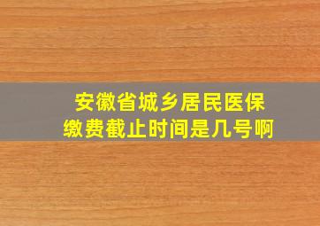 安徽省城乡居民医保缴费截止时间是几号啊