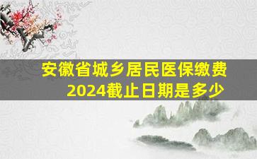 安徽省城乡居民医保缴费2024截止日期是多少