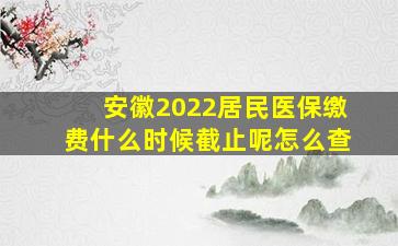 安徽2022居民医保缴费什么时候截止呢怎么查