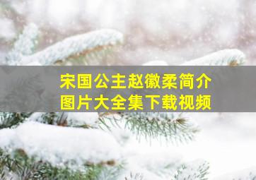 宋国公主赵徽柔简介图片大全集下载视频