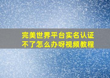 完美世界平台实名认证不了怎么办呀视频教程