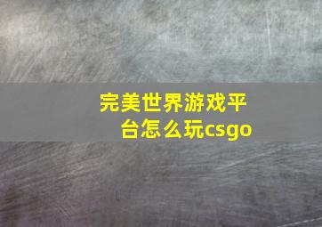 完美世界游戏平台怎么玩csgo