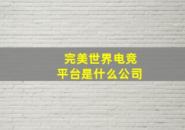 完美世界电竞平台是什么公司