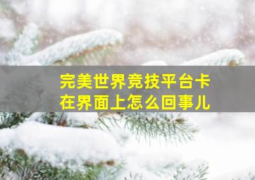 完美世界竞技平台卡在界面上怎么回事儿