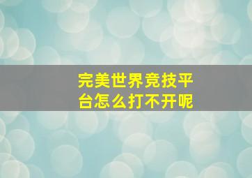 完美世界竞技平台怎么打不开呢