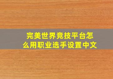 完美世界竞技平台怎么用职业选手设置中文