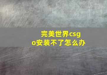 完美世界csgo安装不了怎么办