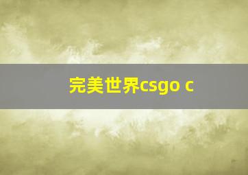 完美世界csgo c