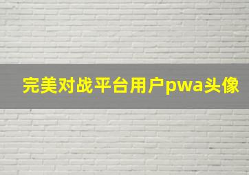 完美对战平台用户pwa头像