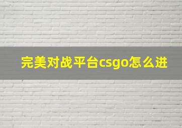 完美对战平台csgo怎么进