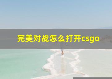 完美对战怎么打开csgo