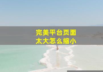 完美平台页面太大怎么缩小