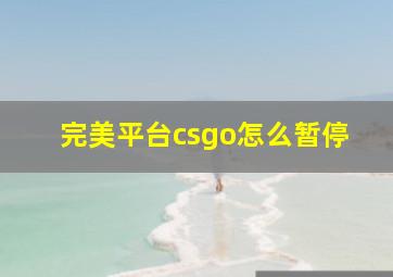 完美平台csgo怎么暂停