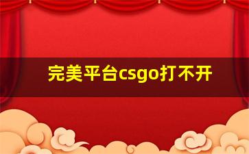 完美平台csgo打不开