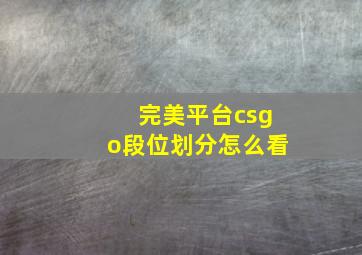 完美平台csgo段位划分怎么看