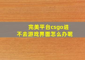 完美平台csgo进不去游戏界面怎么办呢