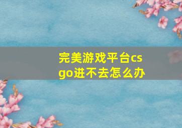 完美游戏平台csgo进不去怎么办