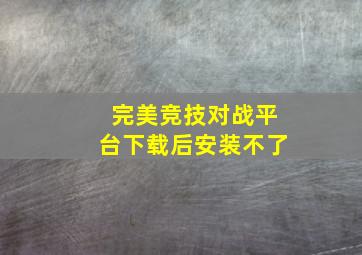 完美竞技对战平台下载后安装不了