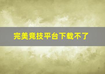 完美竞技平台下载不了