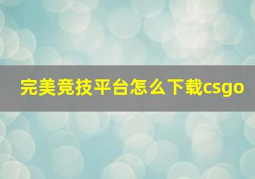 完美竞技平台怎么下载csgo