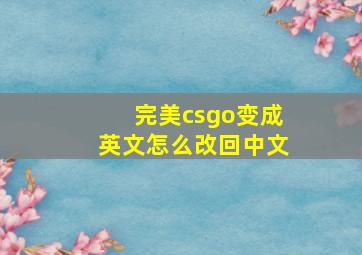 完美csgo变成英文怎么改回中文