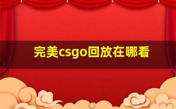 完美csgo回放在哪看