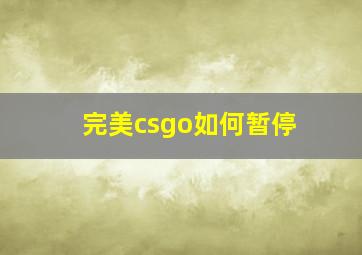 完美csgo如何暂停