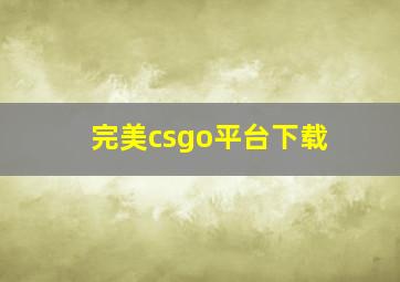 完美csgo平台下载